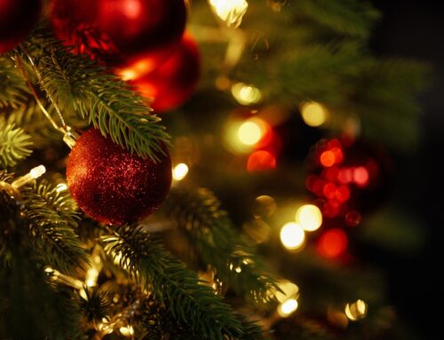 Esta Navidad, saboreá Turimar en cada reunión familiar